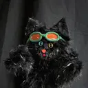 たなか ゆうなのプロフィール画像