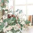 木村 早織のプロフィール画像