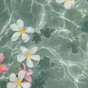 anna .kのプロフィール画像