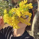 小池 舞奈美のプロフィール画像