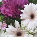 nail Uyuのプロフィール画像