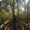 佐藤 利奈のプロフィール画像