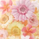 Re line megumiのプロフィール画像