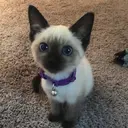 Luxis. fukudaのプロフィール画像