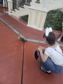 SALON W✨ Megumiのプロフィール画像