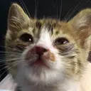 落合 真澄のプロフィール画像