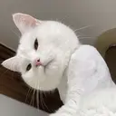 自宅ヒーリングサロン 【あまねく照らす】のプロフィール画像