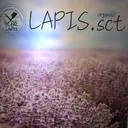 只野 智子のプロフィール画像