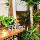 Ｆｅｌi cｅ フェリーチェのプロフィール画像