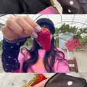 石原 咲季のプロフィール画像