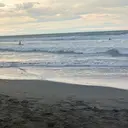 miel きらりのプロフィール画像