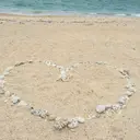 小岩 奈美のプロフィール画像