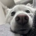 m megumiのプロフィール画像