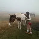 Lumina Fukaのプロフィール画像