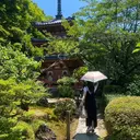 eyelash YUのプロフィール画像