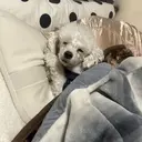 ✨傷ませないカラー✨ Ryuのプロフィール画像