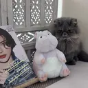 on nail 尾張旭三郷店のプロフィール画像