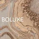 Boluxe ...のプロフィール画像