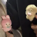 戸口田 琉菜のプロフィール画像