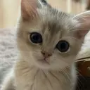 眞壁 あやのプロフィール画像