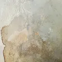 ecarg表参道🩰 saya 無料モデルのプロフィール画像