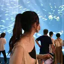 CHARME MIYUのプロフィール画像