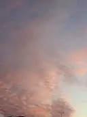 藤川 凌晟のプロフィール画像