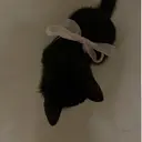 永田 愛海のプロフィール画像