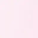 船木 雪衣のプロフィール画像