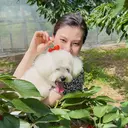 石井 みなみのプロフィール画像