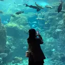 木下 七海のプロフィール画像