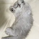 まきの なつみのプロフィール画像