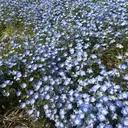 森下 明子のプロフィール画像