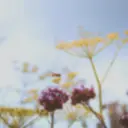 Seki nailのプロフィール画像