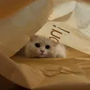 Belle FleuveNAILのプロフィール画像