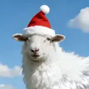 🎀 KiKi_nailのプロフィール画像