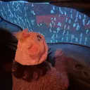 Say. ことは🎀🤍のプロフィール画像