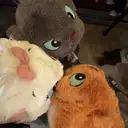 rara 🐣💖のプロフィール画像