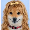 ASAKI Earthのプロフィール画像