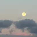 森の あっこちゃんのプロフィール画像