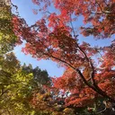 井口 彩南のプロフィール画像