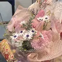 御苑 朝郁のプロフィール画像