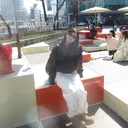 中山 翔愛のプロフィール画像