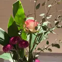 諏訪 愛里のプロフィール画像