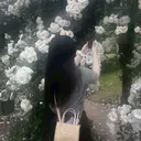 Blanc サカモトのプロフィール画像