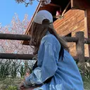 阪本 悠加のプロフィール画像