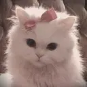 miku .のプロフィール画像