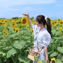 ワンカラー🍀 ／otohaのプロフィール画像