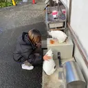 recon🌟 HINAのプロフィール画像