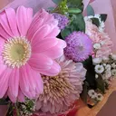 藤井 真優のプロフィール画像